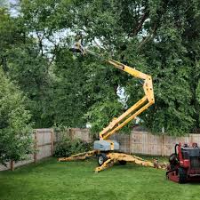 Best Lawn Pest Prevention  in Menands, NY