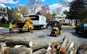 Best Artificial Turf Installation  in Menands, NY